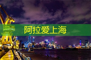 夜上海地下音乐派对,点燃你的狂野 __ ! 夜上海地下音乐派对,点燃你的狂野 __ !
