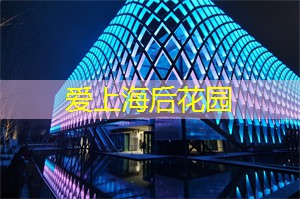 上海的星空下找寻朋友与信仰